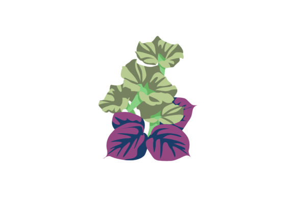 Beauty Summer Flowers Nature Vector Graphics and Illustrations