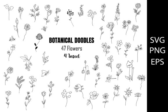 Botanica Doodles, Hand Drawn of Flowers: Graphics and Illustrations for Local Brands