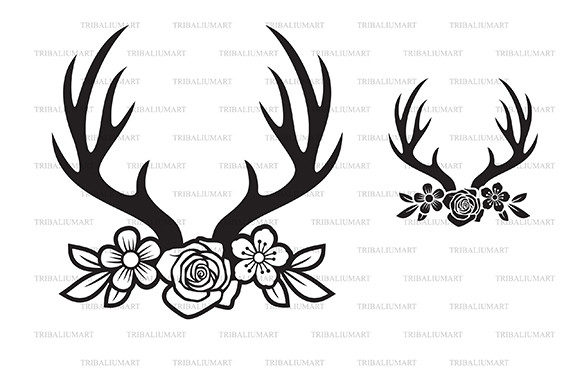 Deer Horns or Antlers with Flowers: Graphics & Illustrations Review