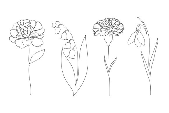Flowers Collection Review: Premium Graphics & Illustrations for Sellers