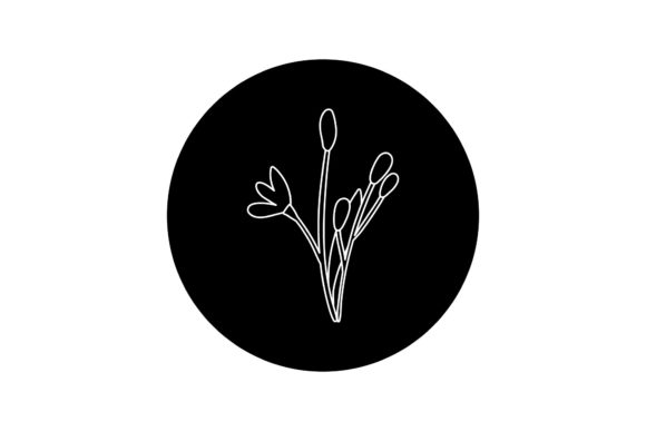 Flowers Illustrations White Line Style Graphics Freebies Review