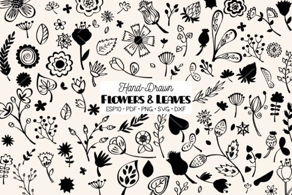 Flowers Leaves Hand Drawn Plants Review