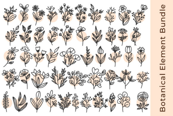 Flowers SVG Bundle: Graphics and Illustrations for Local Brands
