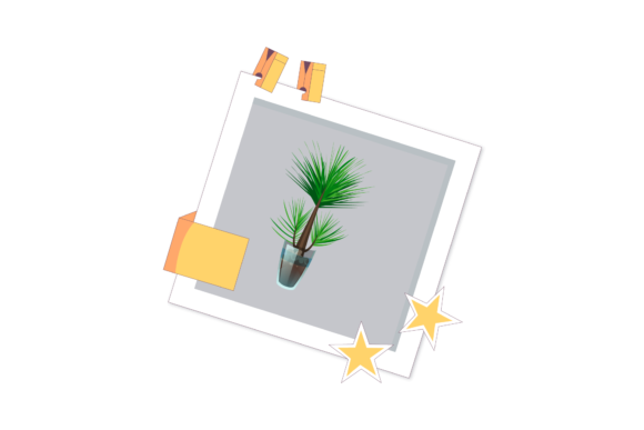 Green Botanical Flowers Photos Frame Art for Graphics and Illustrations