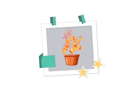 Orange Flowers Photos Frame Illustration Graphics Freebies Review